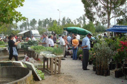 De markt in Arganil