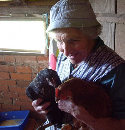 De buurvrouw met de twee kippen