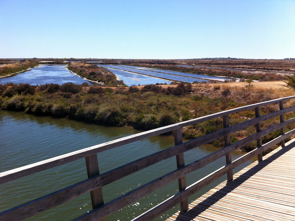 Fietspad langs zoutmijnen bij Tavira (Algarve)