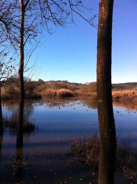 Wandeling in het centrumgebied van Portugal