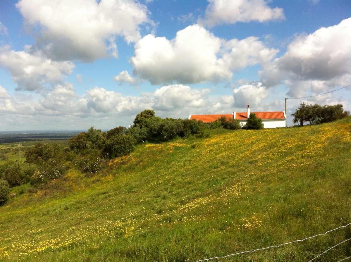 landschap Alentejo