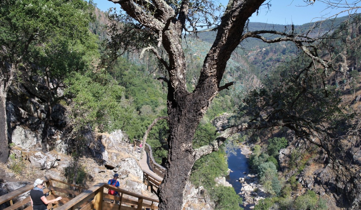 wandeling Passadiços do Paiva uitzicht op rivier