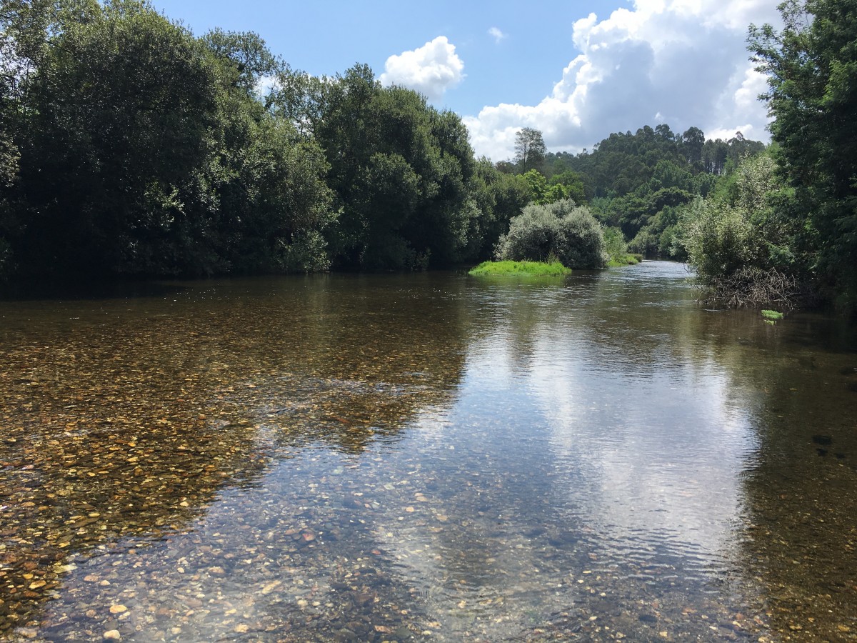 Rio Águeda - Águeda