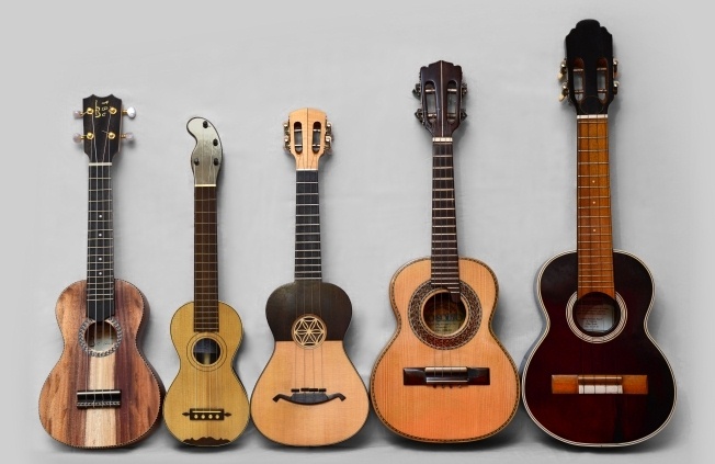 5 verschillende ukeleles