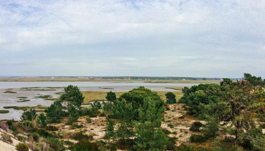 Het moerasgebied van de Sado rivier met kwelders, zandbanken, duinen, rivieren, bossen, landbouwgebieden en zoetwatervijvers