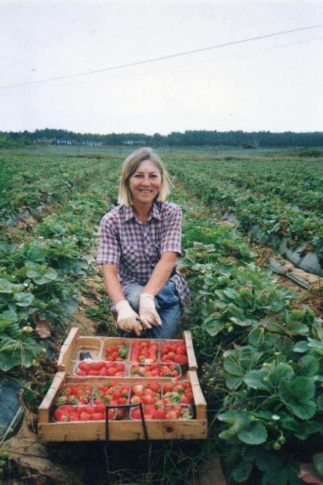 Zina aan het werk. Zina plukt aardbeien.