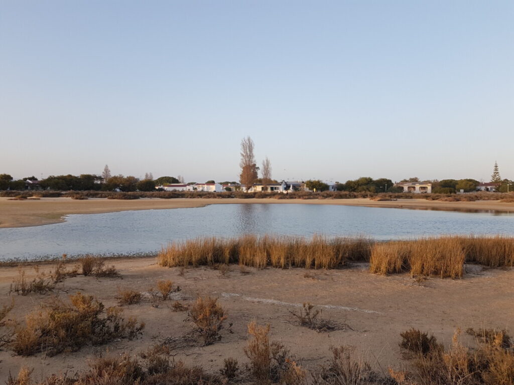 Overzicht van het eiland Armona in de Algarve in Portugal