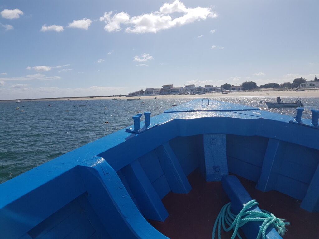 Het eiland Armona gezien vanaf een watertaxi.