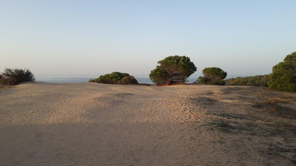 Zandvlakte met wat struikbomen op 40 meter hoogte in de Algarve in Portugal. De Atlantische oceaan is zichtbaar erachter.