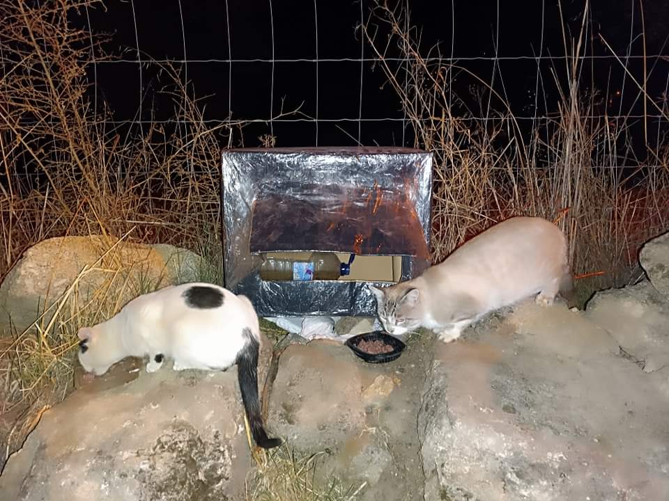 Alle beetjes helpen en de voerbakken bij de schuilplaatsen voor straatkatten van de straatkatten worden voorzien van plastic folie om het voer droog te houden bij regenval.