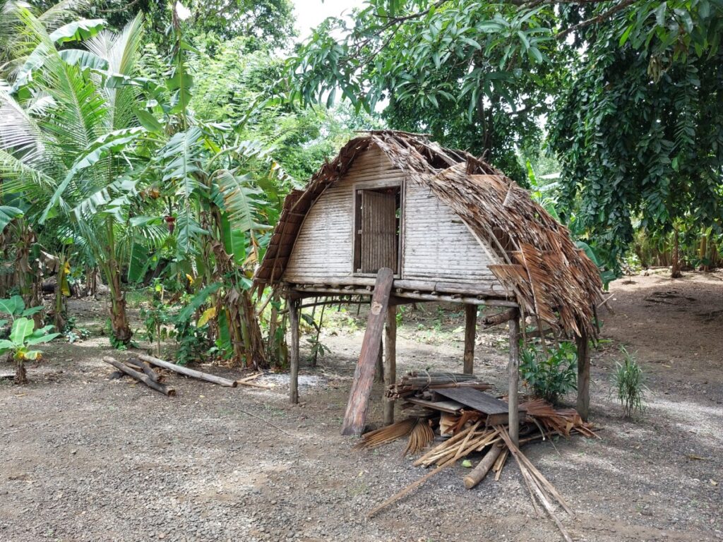 Huis/hut in Papoea-Nieuw-Guinea