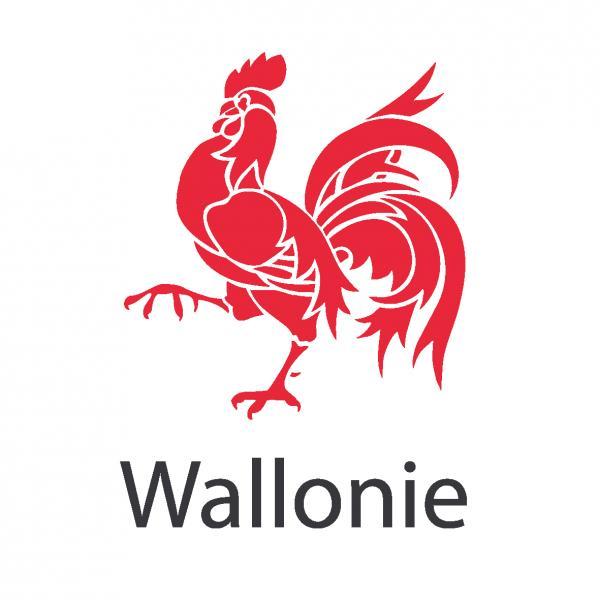 logo van de overheid van Wallonië