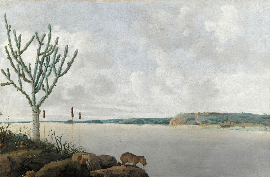 Rio São Francisco, schilderij van Frans Post