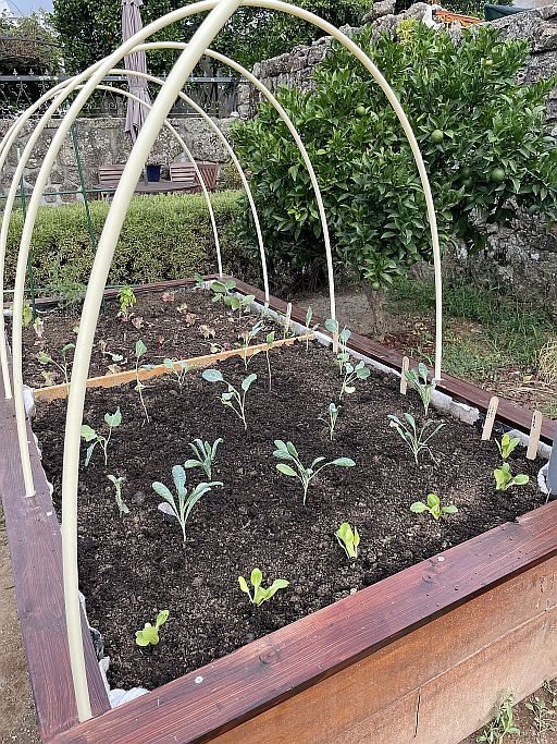  Moestuinbakken