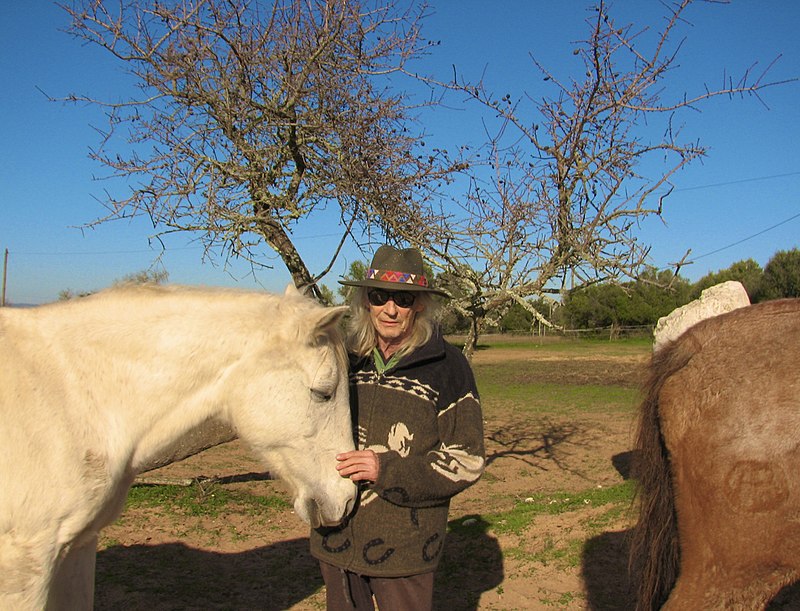 Bert De Coninck bij zijn Portugese paarden