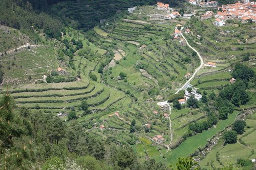 Landschap met terrassen bij Loriga