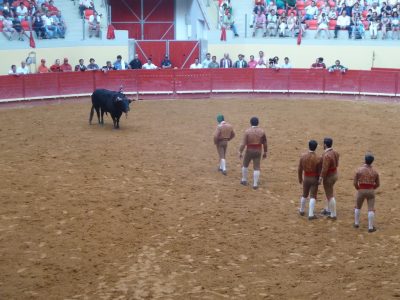 forcadas tijdens een Portugees stierengevecht